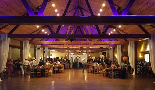 Frankie C DJ Services photo